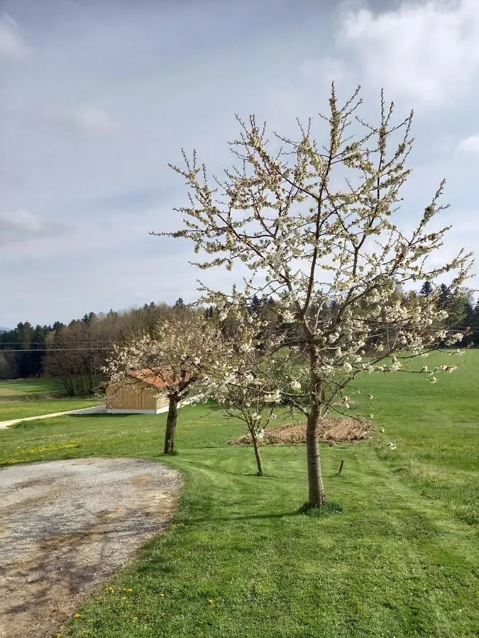 Ferienwohnung Am Dreiseithof Hauzenberg Διαμέρισμα