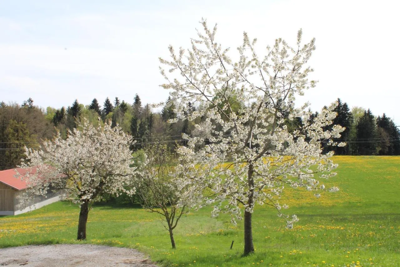 Ferienwohnung Am Dreiseithof Hauzenberg