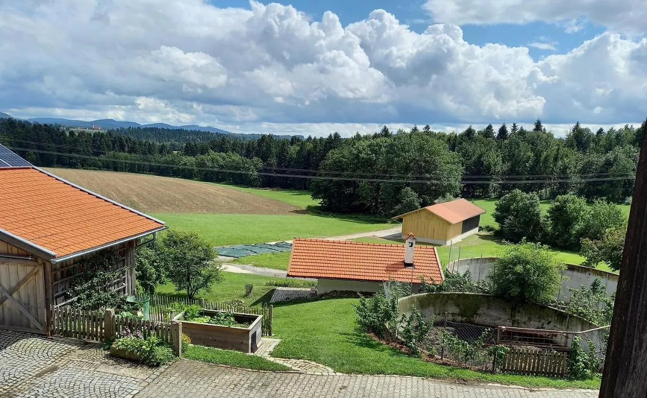 Ferienwohnung Am Dreiseithof Hauzenberg Apartment